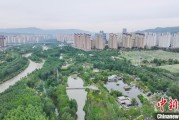 事业辉煌西宁市举办六五环境日主题宣传活动
