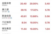 事业辉煌“苏超”爆火！300651，“20cm”涨停