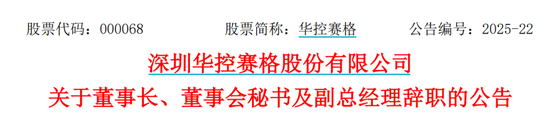 华控赛(💇)格董事(😡)长、董秘、副总(⏪)经理三高管同日辞职